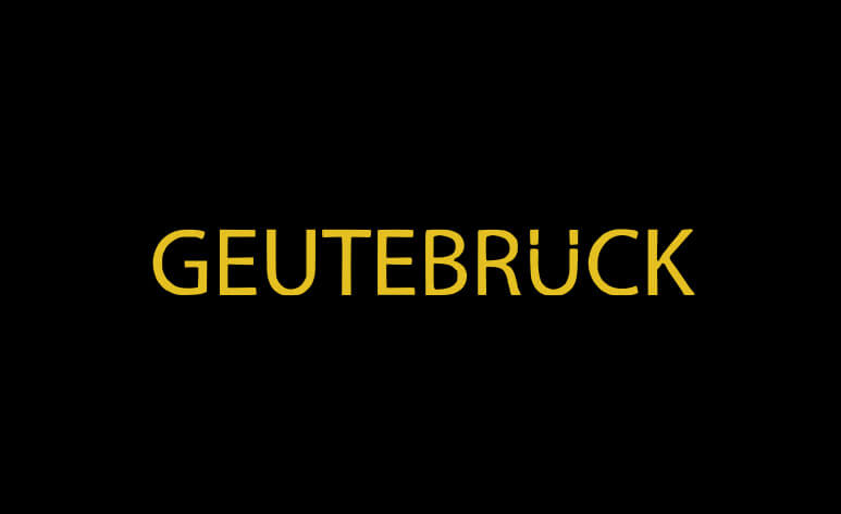 Geutebruck integration